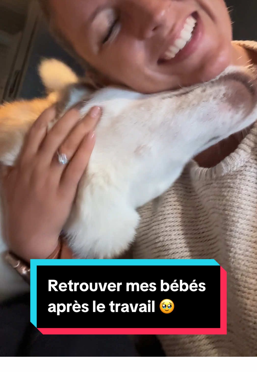 Mon plus gros bonheur en rentrant de 4 jours de rotation. 🥹   #cabincrewlife #petlife #pnc #hotessedelair #doglife 