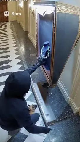 Louvre Museum In Paris | If my French Bulldog were there, nothing would’ve been stolen! #louvre #paristrip #heist #fyp #dog 