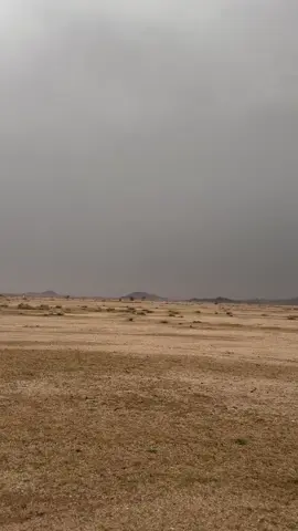 #تصويري #اكسبلور 