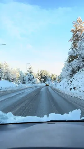 Welcome to northern Norway 🇳🇴  . . . #norway #roads #trip #freezing #snow 