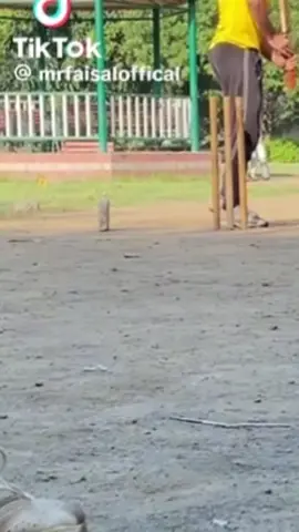 cricket lover#foryou #viral 