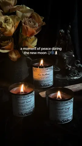 A moment of peace during the new moon. ⚖️🌑🕯️ calm and cozy, ritual of light, peaceful presence, grounding energy, soothing ritual, comfort and reflection, warmth and stillness, reconnect within, soulful scent, mindful moments, gentle ritual, home sanctuary, light with intention, cozy ambiance, tranquility and care, slow evenings, candlelit ritual, nurturing the soul, daily intention, sensory comfort, emotional renewal, sacred space, healing light, embodied presence, sacred home, nurturing warmth, reflective time, slow down moment, soulful glow, inner peace, new moon, witchtok, cozytok, odinsdaughterco 