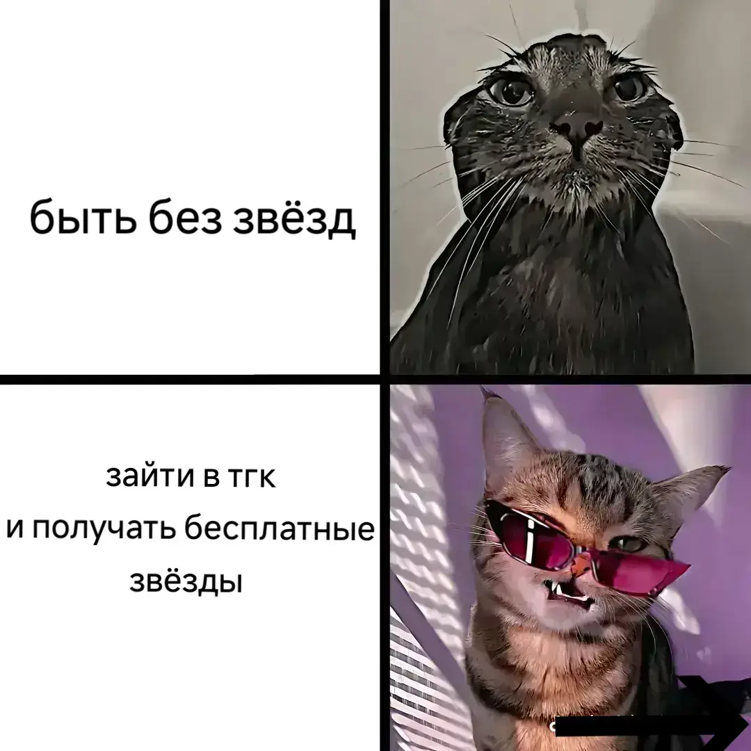 #star #telegram #gift 