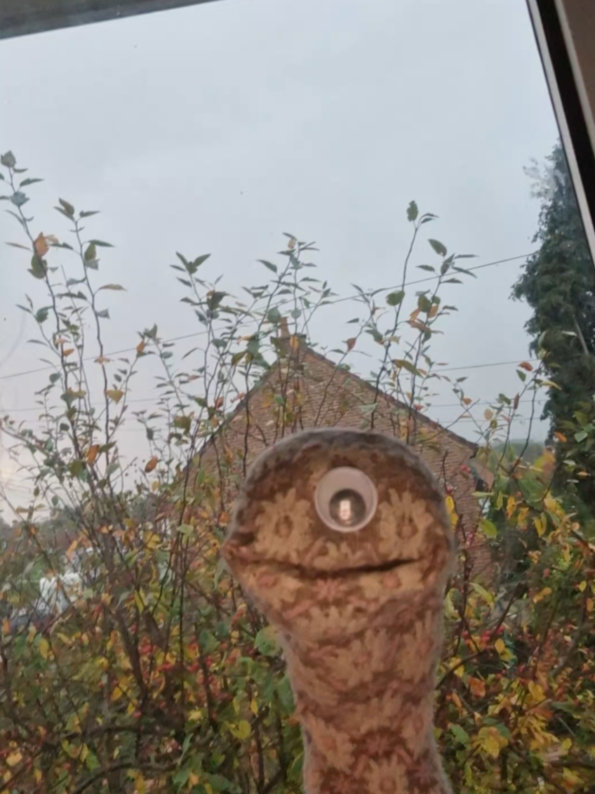 autumn feels love earl 