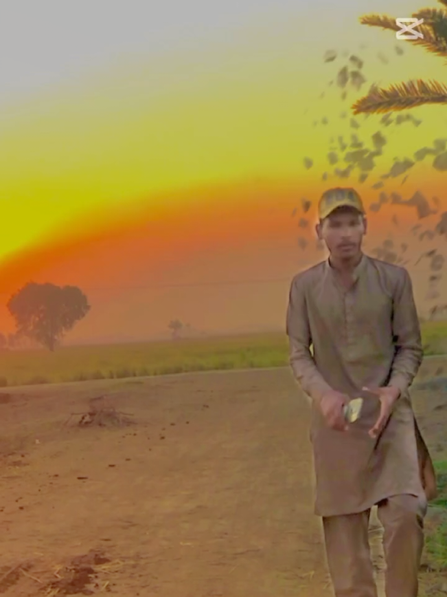 Just Look 💯#wattoo #alirazawattoo7862 #fyp #trending 