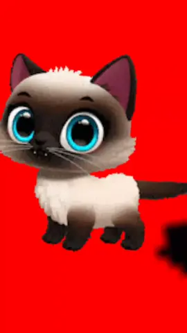 ##creatorsearchinsights 