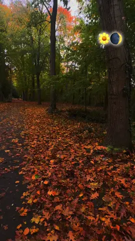 #s #k #f #فولو🙏🏻لايك❤️اكسبلور🙏🏻🌹💫 #فولو🙏🏻لايك❤️اكسبلور🙏🏻🌹💫 