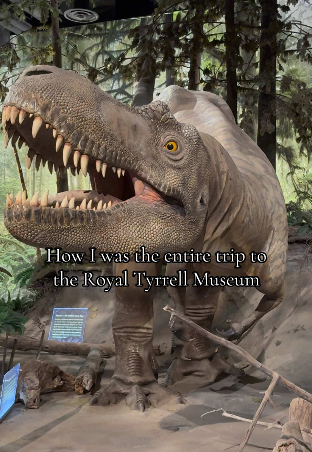 RAWR! 🦖🦕 #royaltyrellmuseum #dinosaurs #drumheller #alberta #travel 