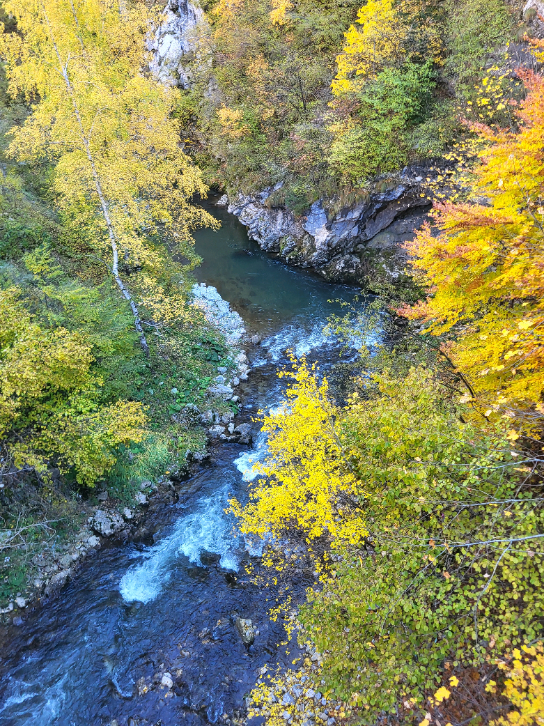 Fly fishing in Montenegro 🎣 Ibar river Montenegro/Serbia Info/Contact: www.musicarenje.net or e-mail: flyfishingmontenegro@gmail.com 💥Fly fishing guide service 💫 W E L C O M E 🍂 #flyfishingtiktok  #montenegro  #flyfishingnation  #river #nature @🎣Wild_Lim_Catch 🎣 @Fish On  @Bogdan Gawlik Fly Fishing  @Angelo Di Muzio 