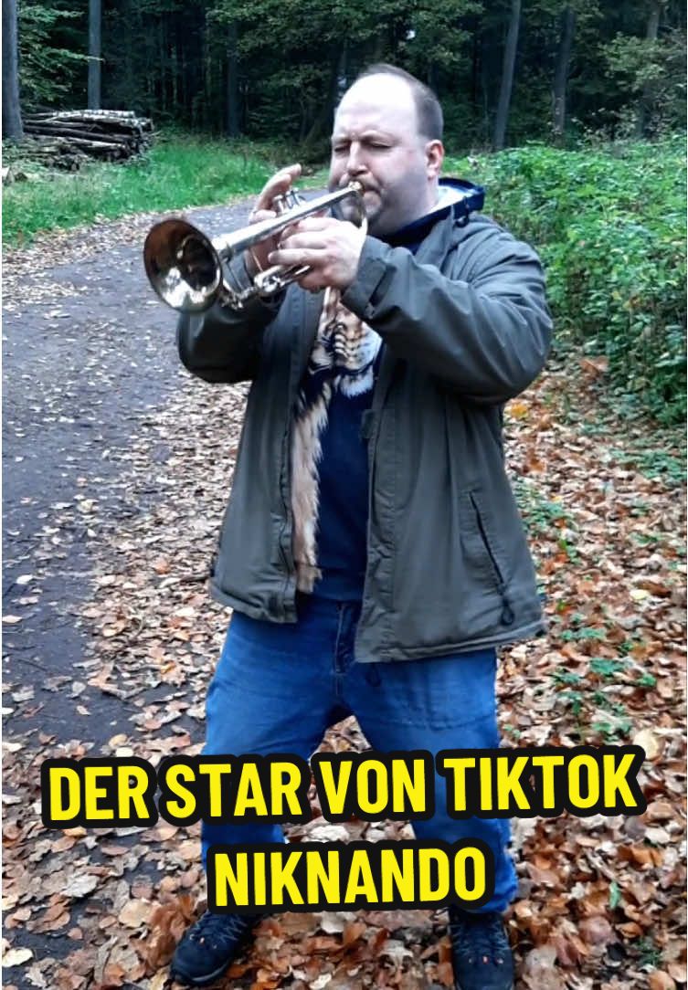 Der Star von TikTok ist ganz klar @Niknando 