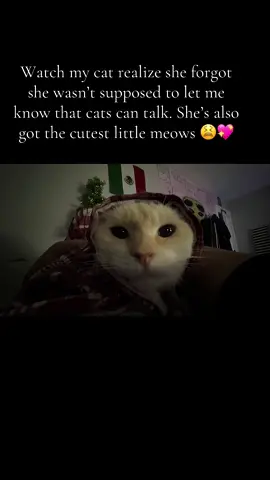 The jig is UP. Cats can talk 😂 #cats #kitty #meow 