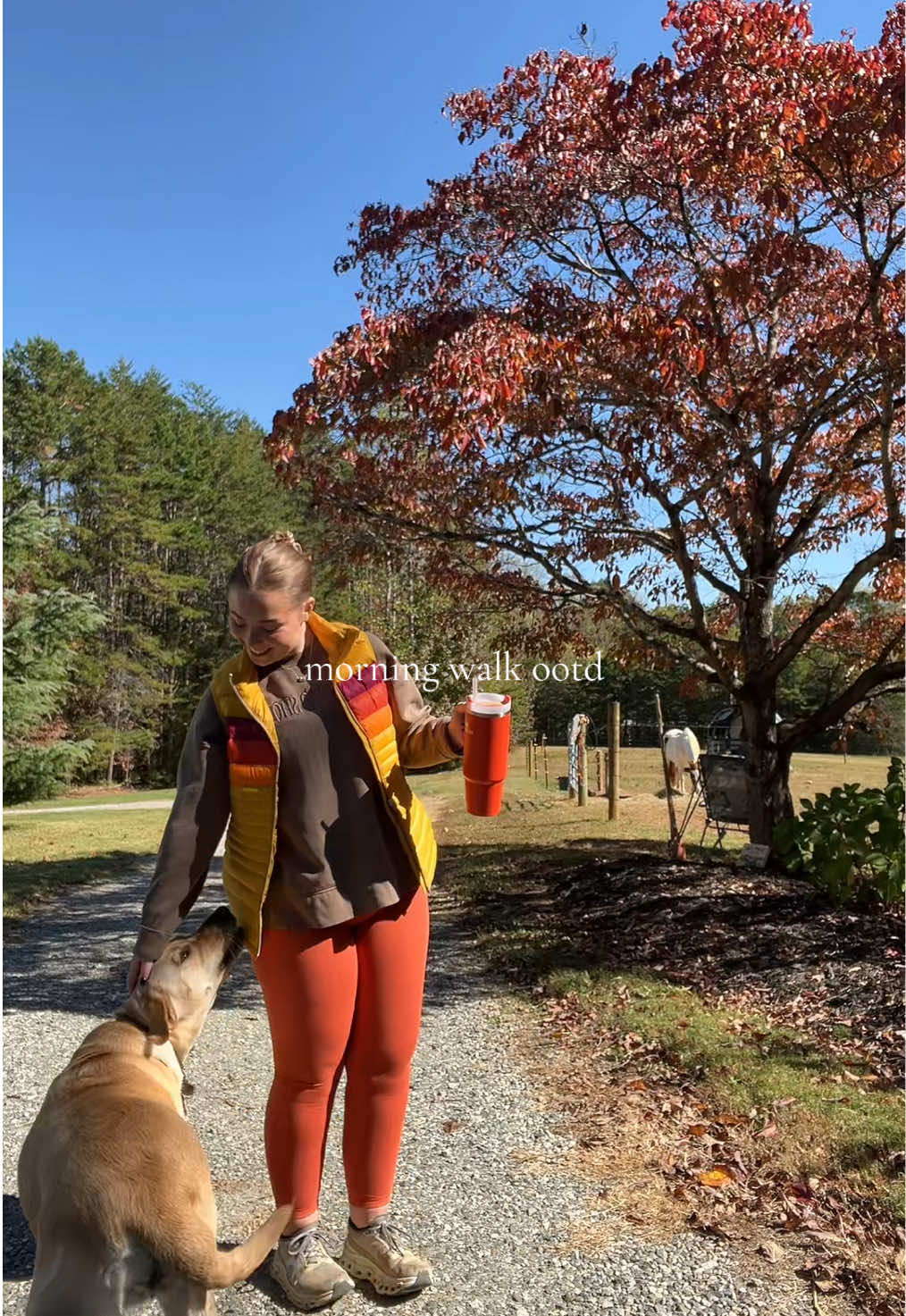 Lyndy and Maple stole the show🧡 #fallootd #morningwalk #fyp #labrador 