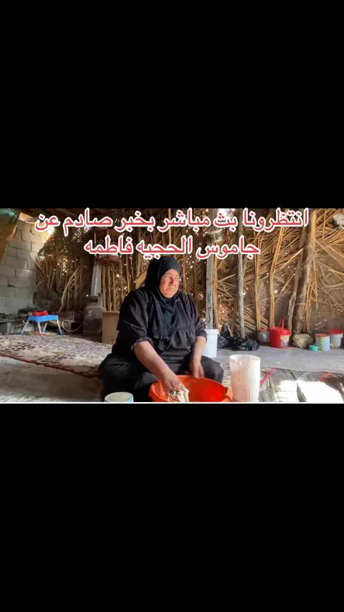 انتظرونا بث مباشر عن حلال الحجيه فاطمه الساعه 8:30 #حلال_الحجيه_فاطمه #جاموس_الحجيه