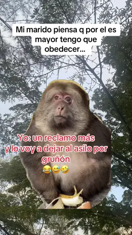 #CapCut #marido #acilo 