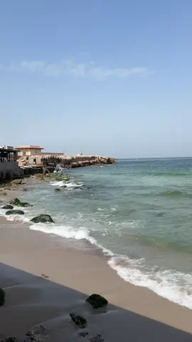 #travelwithcamilia #سافر_مع_كاميليا #مصر #egypt #alexandria 