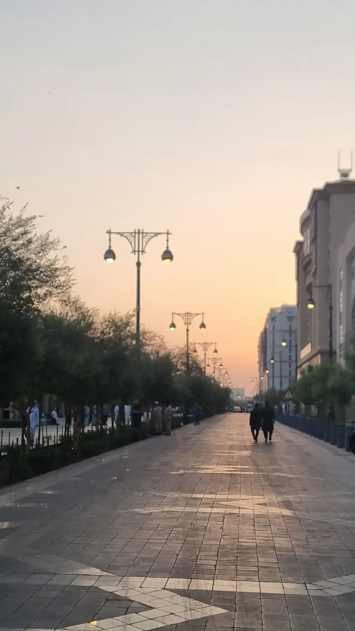 الشيخ د محمد المختار الشنقيطي حفظه الله 