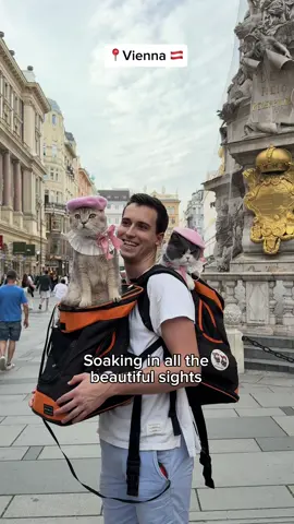 The boys had a wonderful time exploring 5 beautiful Central and Eastern European countries in just over 3 weeks ❤️ These cities were all incredibly pet friendly, especially Istanbul where you will often find cats jumping into your lap while you dine at restaurants. We will be sharing a lot more content from our Europe trip in the coming weeks 😊  #cats #travel #catsoftiktok #europe #catlover 