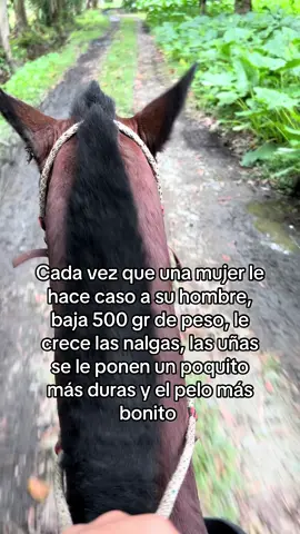Añañay 😅