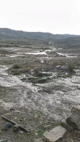 ابن الجنيدي ✋#اكسبلور #الشعب_الصيني_ماله_حل #مكيراس #البيضاء #اليمن🇾🇪ابين 