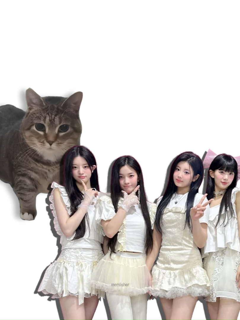 ILLIT - MAGNETIC, but it's Oiiai Cat Remix (uiiai) #mashup #remix #cat #illit #magnetic @illit_official