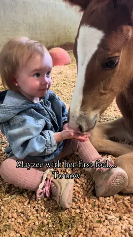 I got asked when did we start to realize Mayzee showed an interest in horses…this first clip gave us a big indication she was a horse girl ❤️🐴 #viral #foal #horse #fyp #toddlersoftiktok 