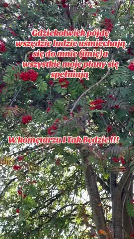 #wrozkanatalia #rytuał #tar #wróżka #tarot 