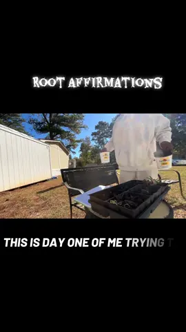 Day, one of growing something a day who’s going to join me? #seedlings #dailyaffirmations #LIVEIncentiveProgram #LIVEWithLessFollowers #PaidPartnership 