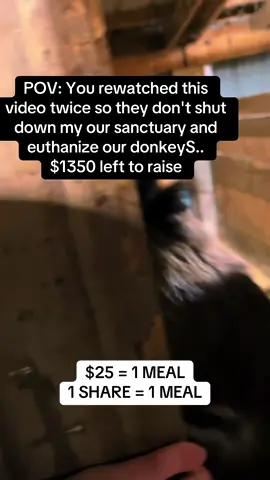 #jackbrowns #36secondsoflightwork #michaeljackson #minidonkeysofinstagram #donkeylove 