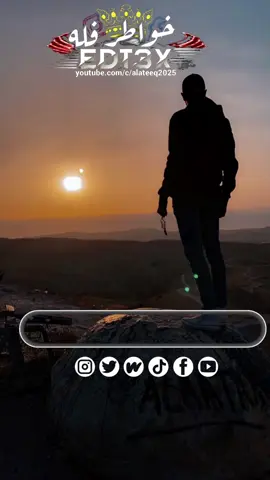 م حتفهموا  #creatorsearchinsight 