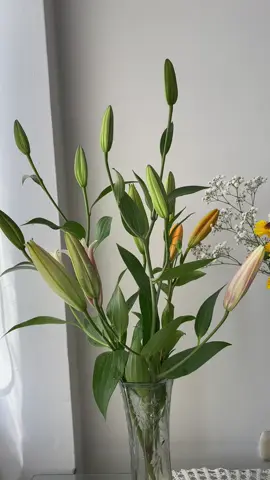 Las más lindas 😭🥹