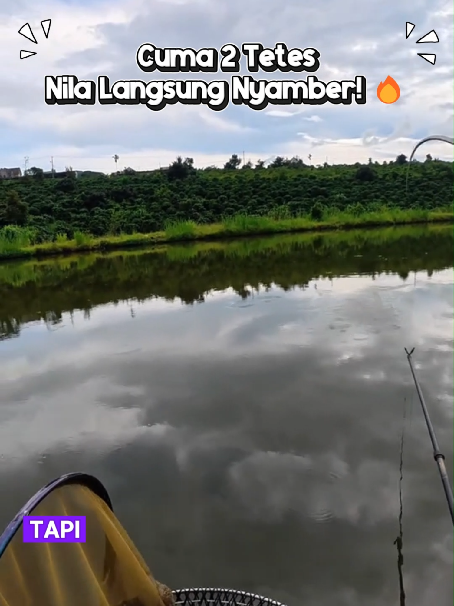 🔥 Essen paling gacor buat nila! Cukup 2 tetes langsung strike. #essenikan #umpanjitu #essenampuh #mancingnila #ultimatestrike