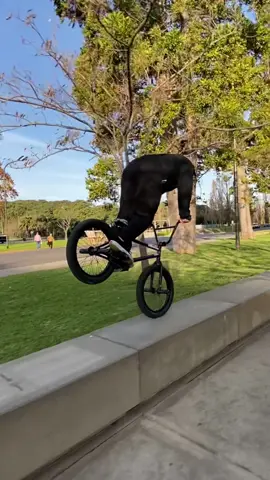 Re up nose manual por Buenos Aires #bmx #bmxlife #fyp #tiktok #reels 