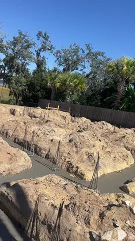 #viral #LIVEIncentiveProgram 