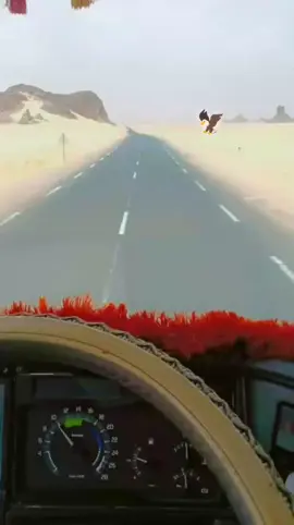 #اليزي_تمنراست_جانت_ادرار_المنيعة_ورڨلة #الشعب_الصيني_ماله_حل😂😂 