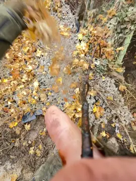 1бана осінь 🍂 🙂‍↔️#війнатриває #рекомендації #зсу #осінь #рекомендации 