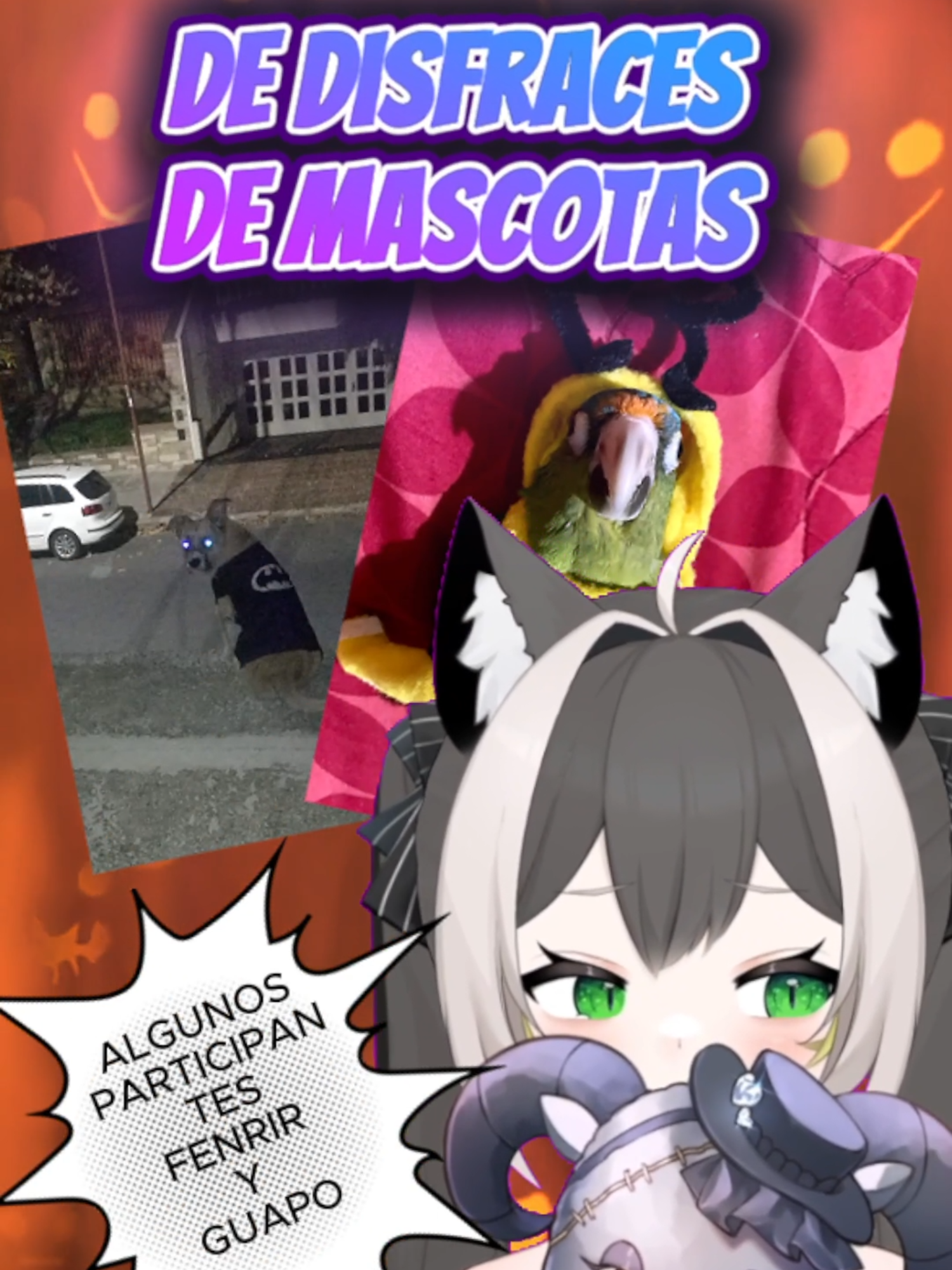 ¿Quedaron algunas dudas algunas dudas? ¡Estaré encantada de responderlas todas! #vtuberespañol #concursohalloween #disfraces #mascotas #servidordediscord