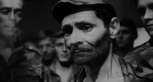 The Battle of Algiers #real #relatable #mecore #core 