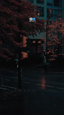 #تصميم_فيديوهات #fyp #fouryou #viraltiktok #capcut_edit 