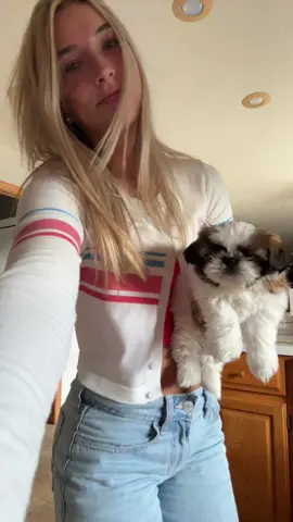 teddy can dance‼️