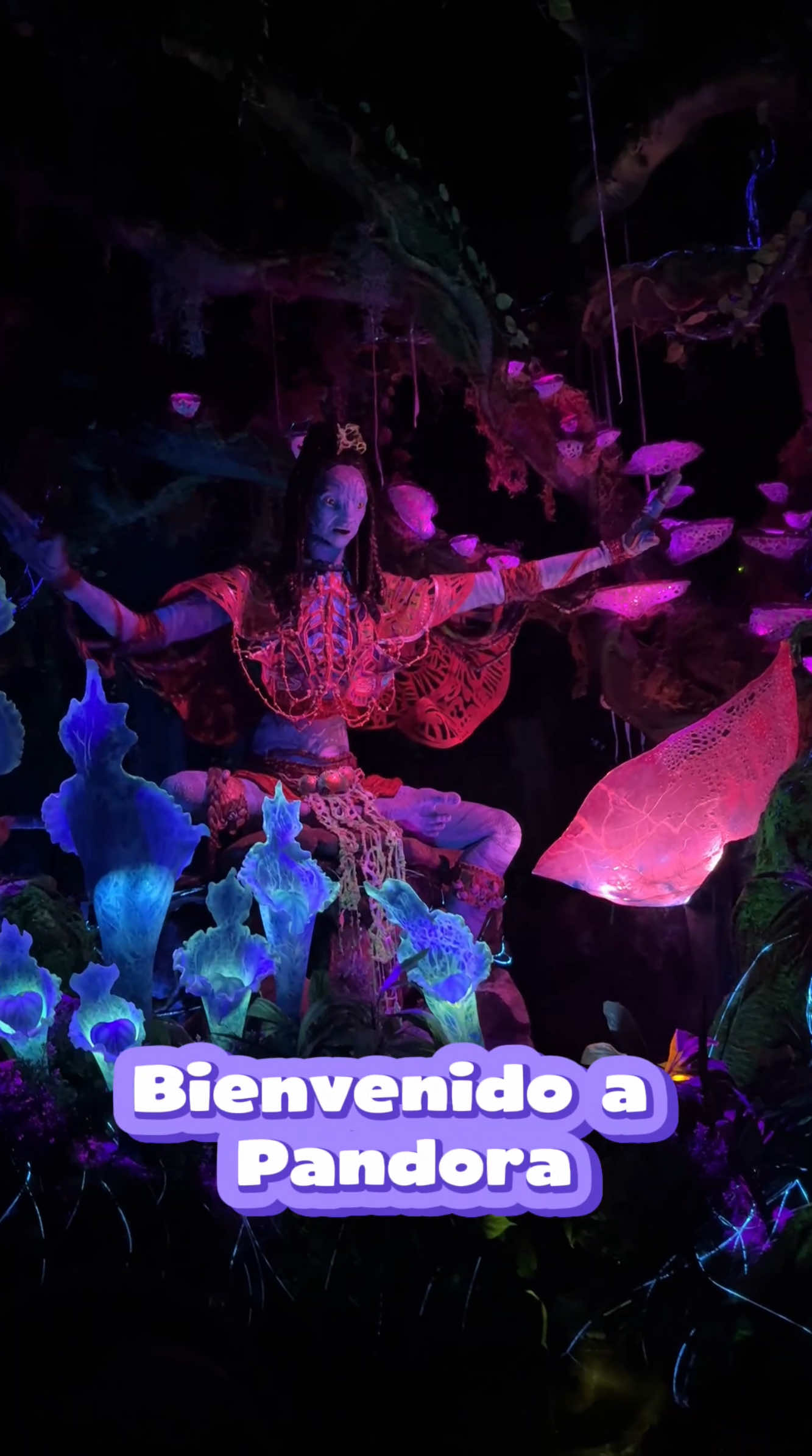 Comenta “PANDORA” y comenzamos a planear tu viaje soñado 💫 Soy Vale, agente Disney y te ayudo a crear las vacaciones perfectas 🤩🪄 Hay un lugar que todo el mundo debería conocer al menos una vez en su vida... y está dentro de Animal Kingdom. 🪐✨ Te hablo de Pandora, el Mundo de Avatar. Y créeme, es una inmersión total que te transporta a otro planeta. Caminar bajo las impresionantes islas flotantes es algo que te deja sin aliento. Aquí te dejo los imperdibles de esta tierra mágica: 🐉 Avatar Flight of Passage: La que considero una de las MEJORES atracciones de todo Walt Disney World. Es un simulador 3D donde volarás sobre un Banshee y, te lo juro, se siente 100% real. 🛶 Na’vi River Journey: Un viaje místico y relajante por la selva bioluminiscente, donde verás el animatrónico más avanzado e impresionante de Disney. 🍽️ Satu’li Canteen: ¡No te pierdas la comida de aquí! Es deliciosa y completamente diferente a lo que encontrarás en otros parques. 🍹 Pongu Pongu: El lugar perfecto para probar bebidas exóticas y súper coloridas. Si quieres más secretos de Disney para que tu viaje sea inolvidable... ¡no olvides seguirme para que no te pierdas de nada! #avatar #animalkingdom #pandora #disneyworld #disney 