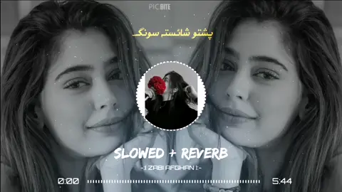 سرے شونڈی شربت دہ گولالی جانان❤️❤️😘#terndingsong #viwesproblem😌🙏💔 #plzviral🥺🥺🙏🙏foryoupage #foryoupage #unfreezemyaccount 