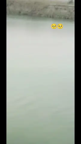 #حدي_ابو_باقر_الخزعلي_  #الشبل👈الخزاعل #الشنافيه_ام_العز__  #الفرطوس_اخوت_عليه 