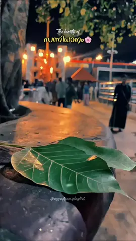 #സന്നിധാനം🍃🙏🙏🙏🙏 ✨