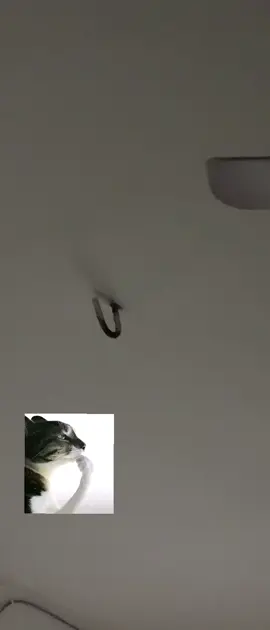 أحس إني ودي أنهي كل شي ما اعتقد في أحد راح يحس باختفائي  ولا اعتقد أن في حد مهتم طول عمري تمنيت لو امي تهتم لي طول عمي تمنين حضن بس حضن منها أو حتى ابتسامته  طول عمرها تسب وتضرب بيه لحد ما صرت أحس هاي فعلا حياتي؟ لازم أعيش هيج للأبد؟ ما متقبله الواقع وأريد بس ينتهي كلشي بسرعه مجاي أصدك هاي حياتي ولازم اعيشها  ماما ترى إني أكرهج أكرهج أكثر من إيشي ثاني بها كوكب أكرهج  #mommyissues #father #family #explore #mom 