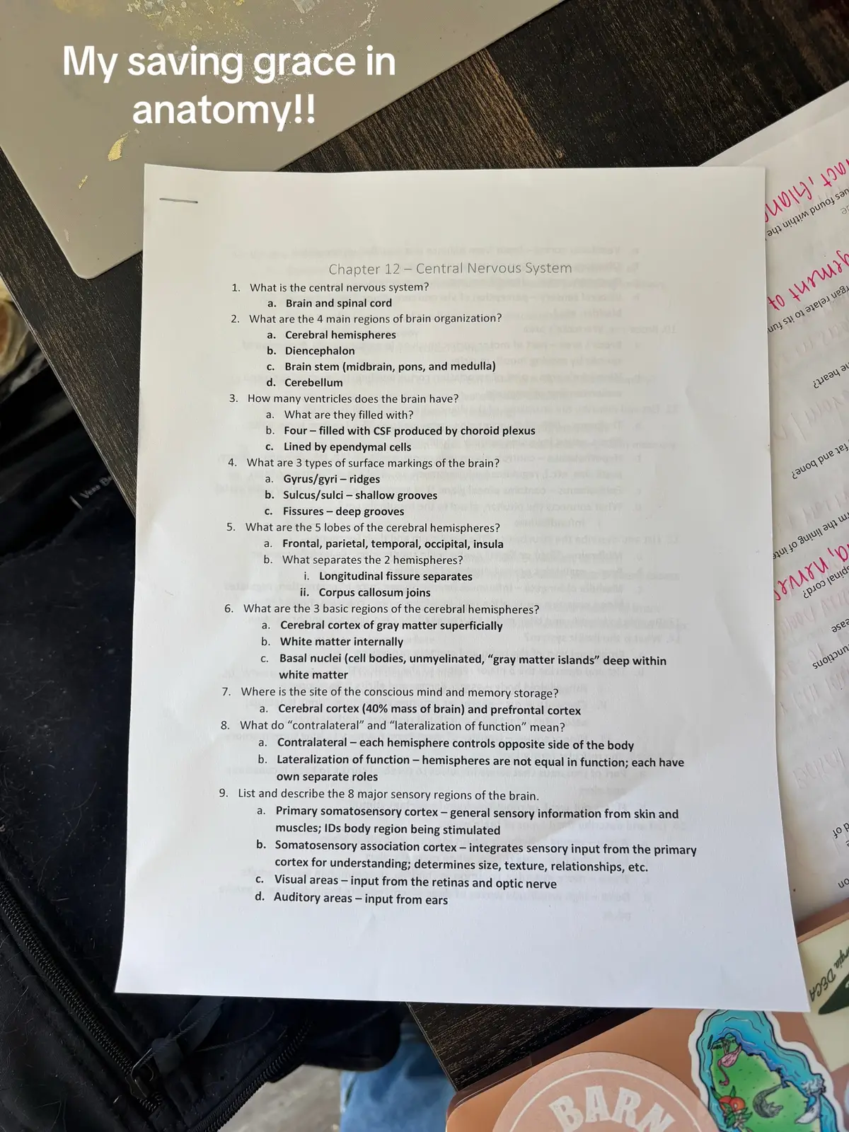 I ❤️ study guides #fyp#fypシ