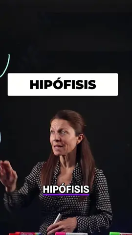 La hipófisis en dos partes clave. ¿Cómo se conectan el hipotálamo y la adenohipófisis? Un vistazo rápido a su función. #anatomía #biología #hormonas #salud #ciencia