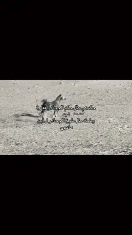 #حكمني مثل حكم الجحادر فقارة نججد #الجحادر حكام نجد 90 عام #قحطان المضيمة 📜🖊️#