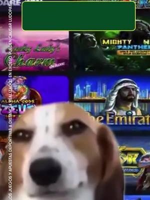 Regístrate y disfruta los mejores juegos. ¡Solo en Olimpo.bet!