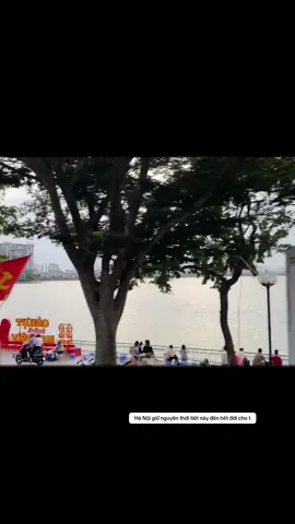 Một chiều thu tại Hà Nội, nhẹ nhàng nhưng cũng có chút buồn thoảng qua #Hanoi #ThuHaNoi #HoTay #PhanDinhPhung #viral 