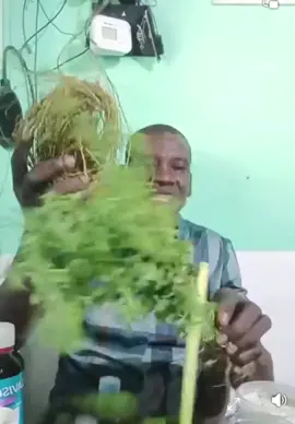 #100k #1m #tiktok  @sabo adama @sabo Adama Espace santé @sabo adama @AnnieBlaDan @🍀Dèlo🍀 @Espace Santé Angré🍀 